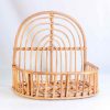 Rainbow Rattan Wall Shelf