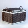 Poly-rattan Storage Box