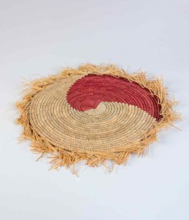 Arani Coaster