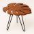 EWE Leaf-Inspired Table